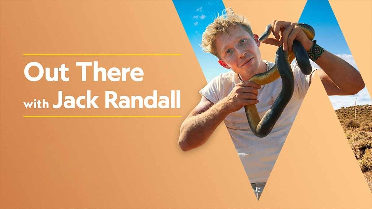 show thumbnail