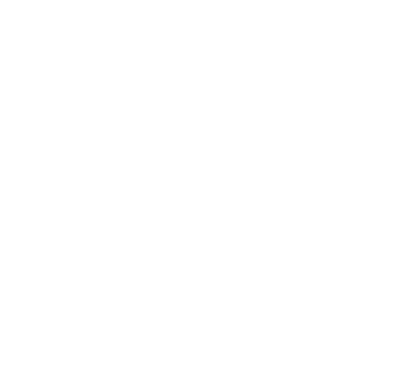 show icon