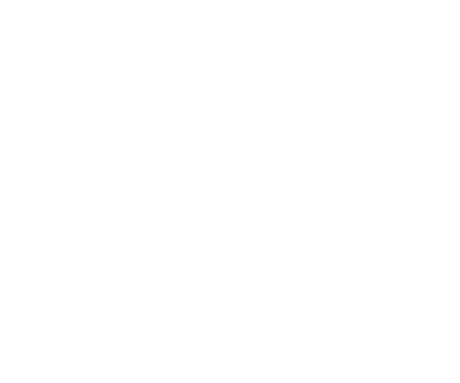 show icon