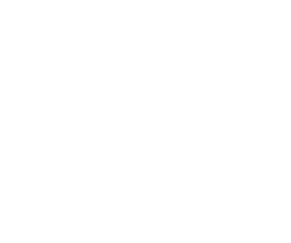 show icon