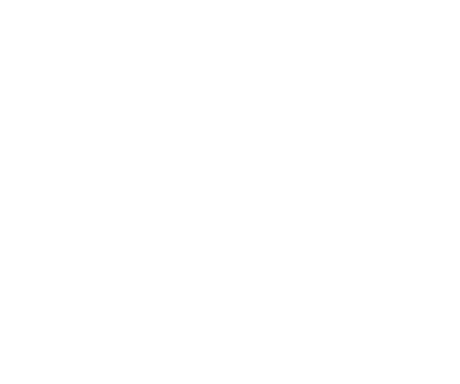 show icon