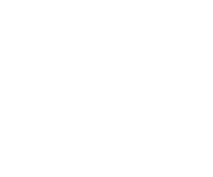 show icon
