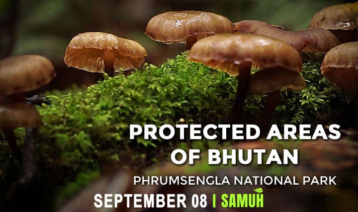 Samuh Bhutan Protected Areas Of Bhutan Jigme Khesar Strict Nature