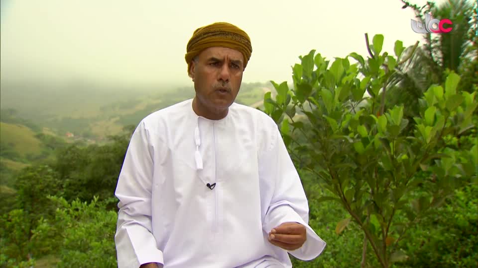 الصرب - الحلقة 3