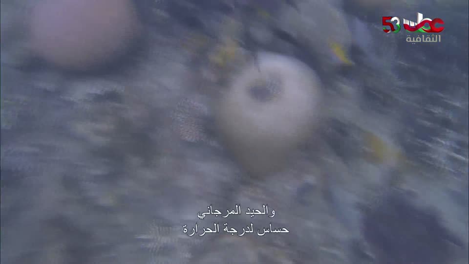 b4yesterday-47-البرنامج-الثقافي-عشا