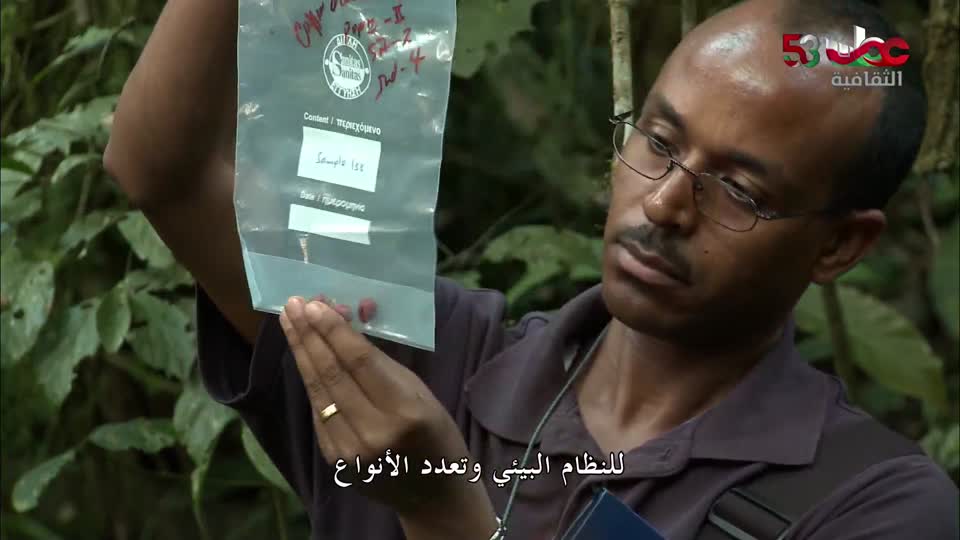 yesterday-4-قناة عمان الثقافية