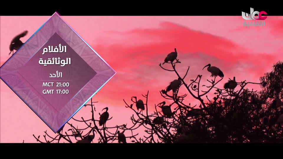 yesterday-35-قناة عمان الثقافية