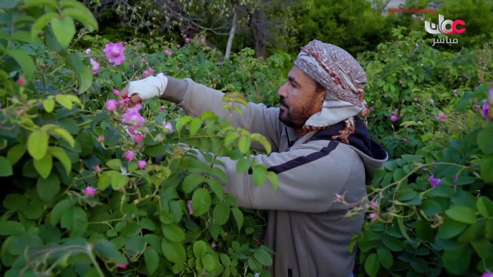 yesterday-2-قناة عمان مباشر