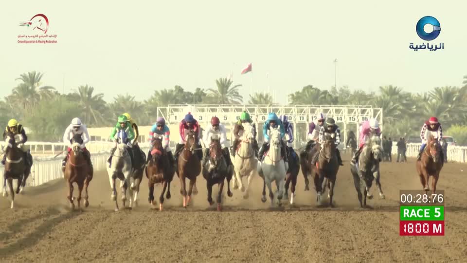 5-سباقات-الخيل-الأهلية