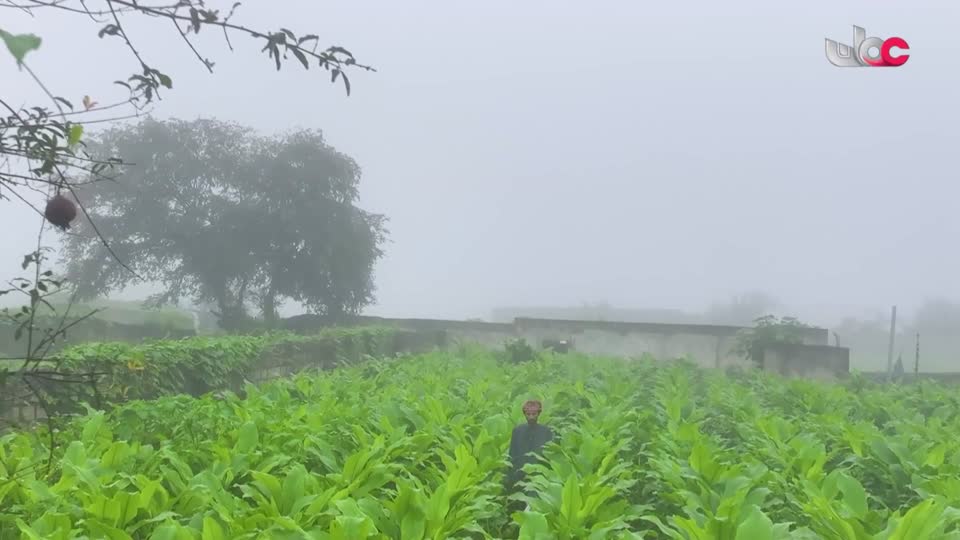 yesterday-27-قناة عمان العامة