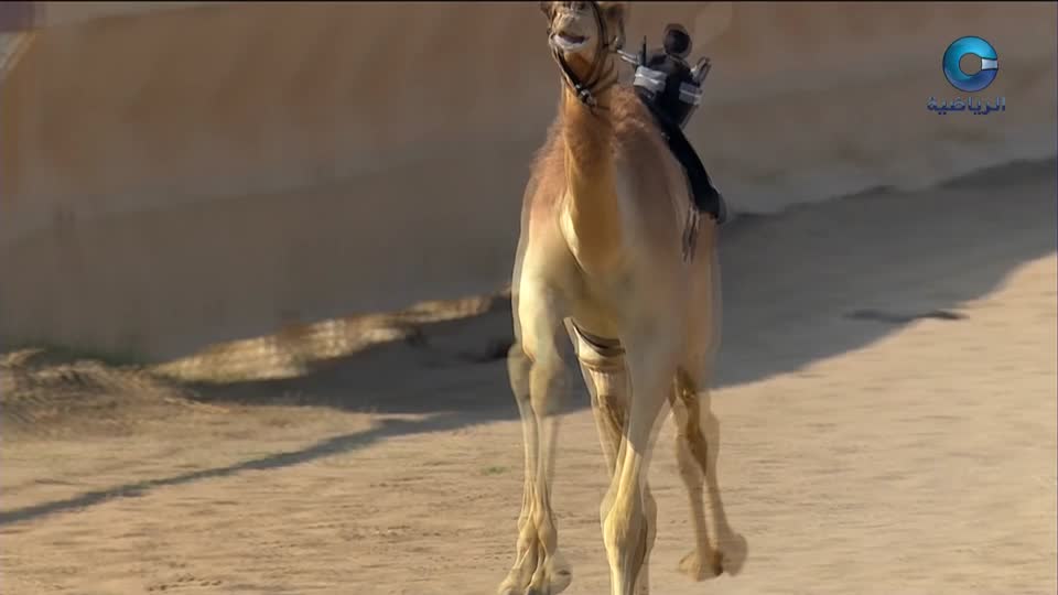 yesterday-12-قناة عمان الرياضية