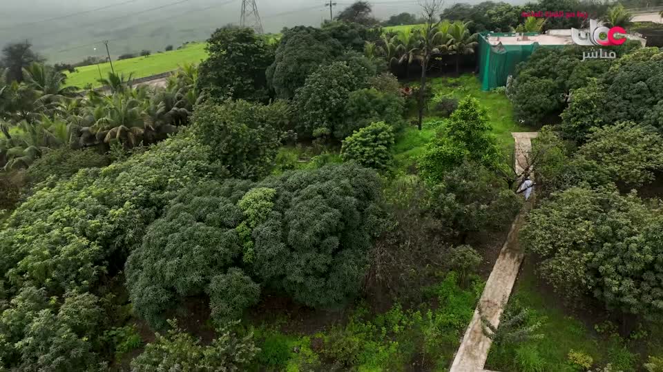 yesterday-2-قناة عمان مباشر