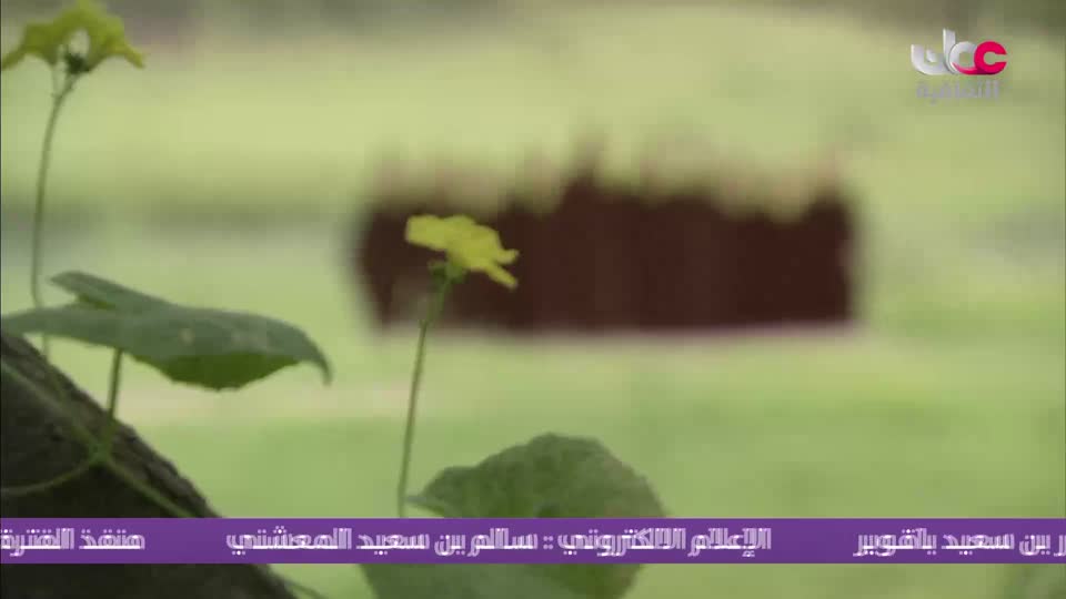 yesterday-7-قناة عمان الثقافية