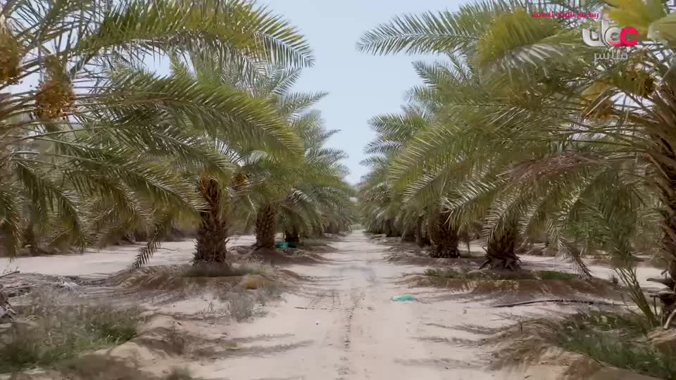 yesterday-2-قناة عمان مباشر