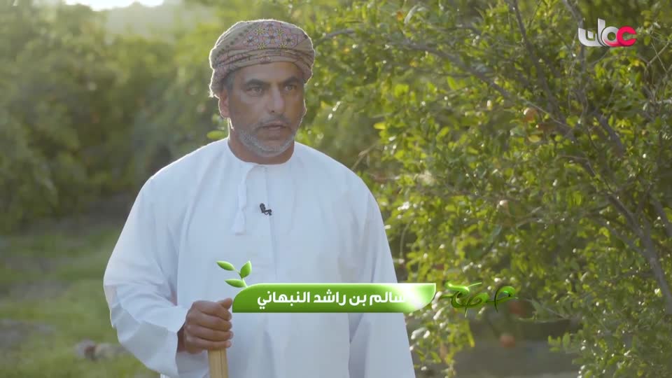 13-البرنامج-العلمي-حصاد