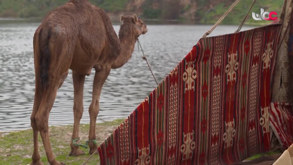 b4yesterday-0-برنامج-في-أحضان-الرف