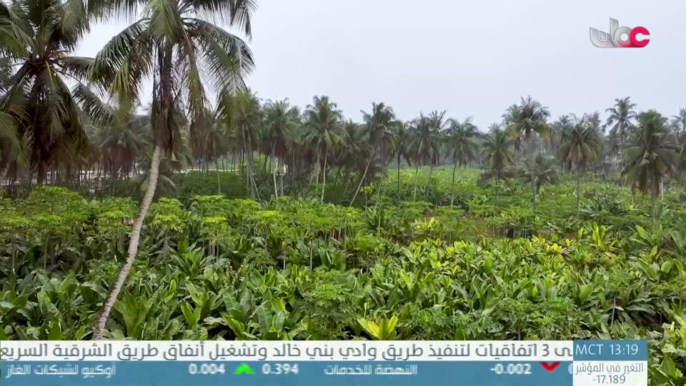 yesterday-24-قناة عمان العامة