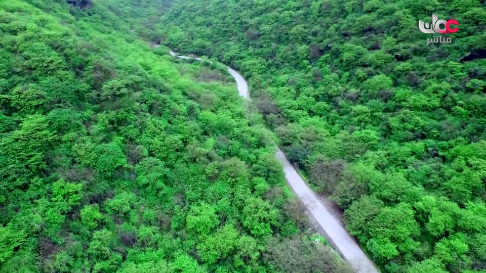 yesterday-10-قناة عمان مباشر