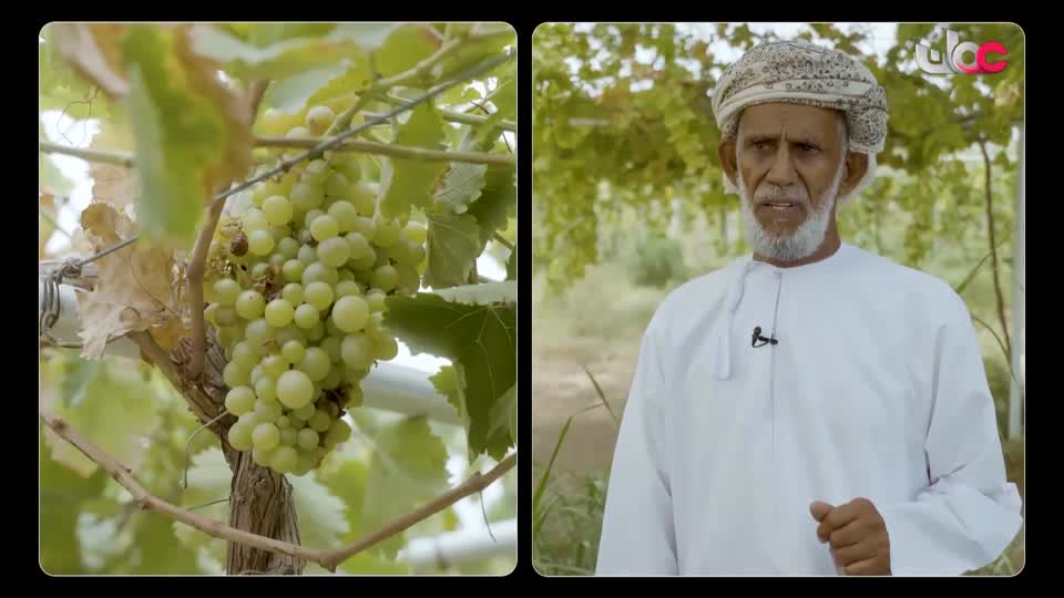 yesterday-4-قناة عمان العامة