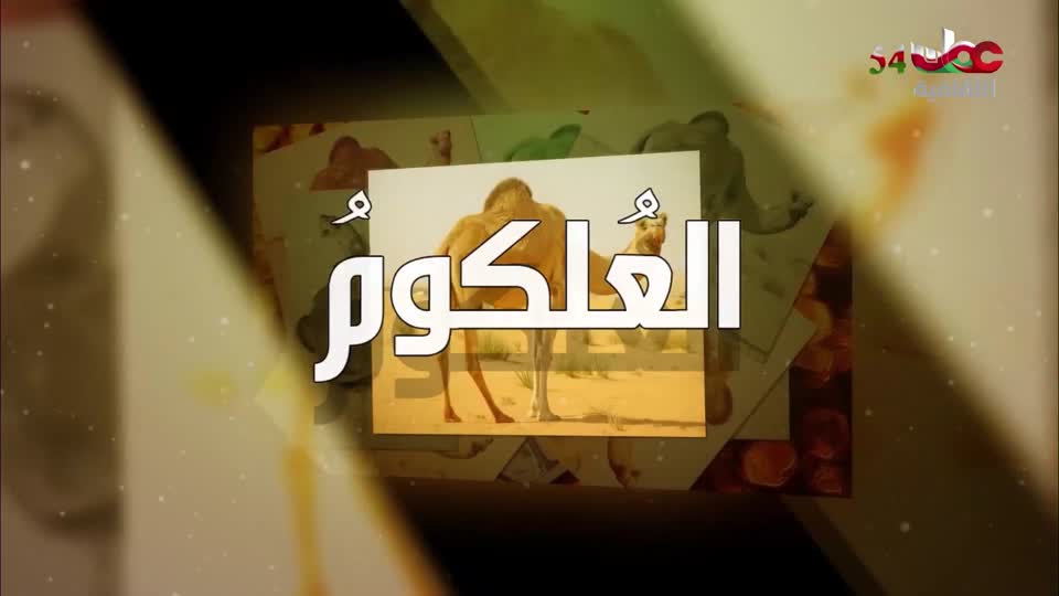 10-برنامج-من-عبق-اللغة-