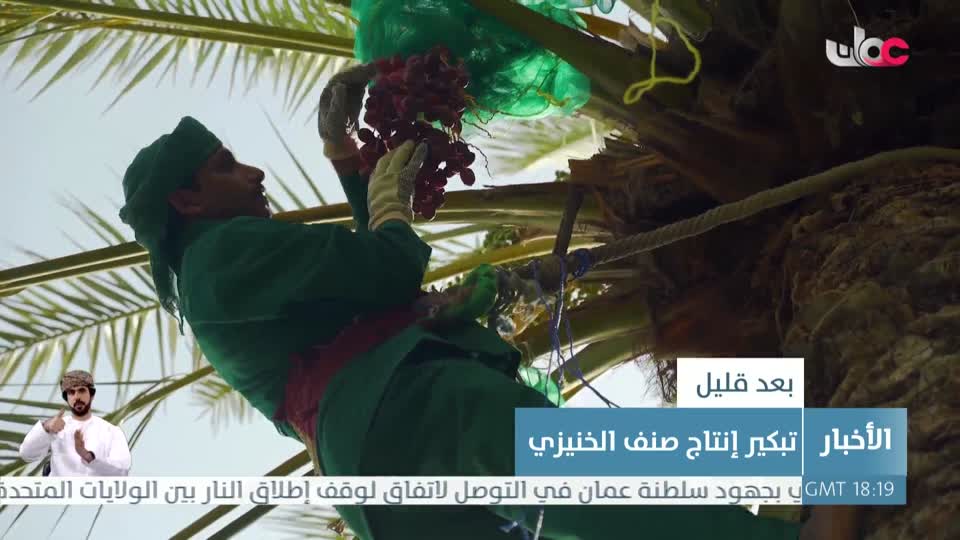 أخبار العاشرة - الأربعاء 7 مايو 2025م