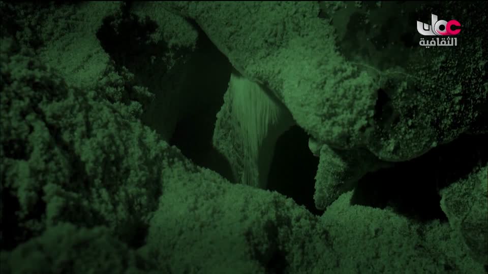 الزراعة من اجل الكوكب - الحلقة 16