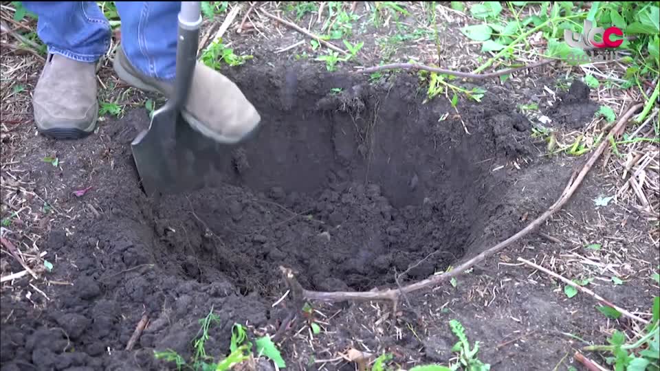 البرنامج الثقافي داخل الأشياء