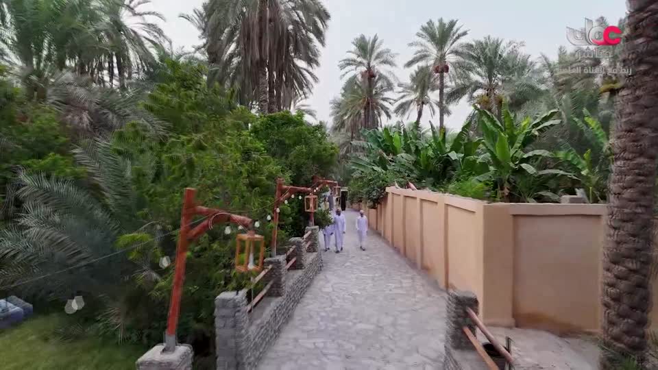 نشرة أخبار الثانية