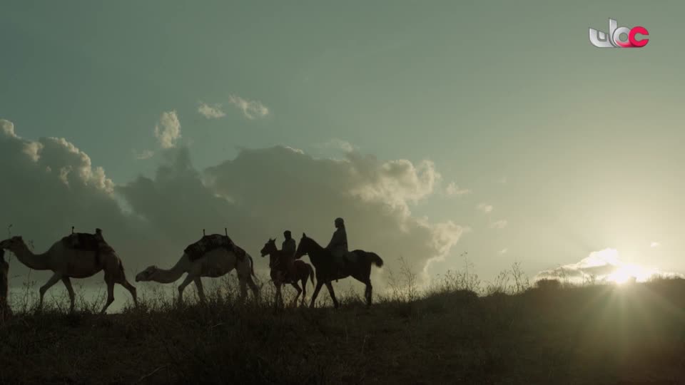 برنامج/ الهندسة المعمارية