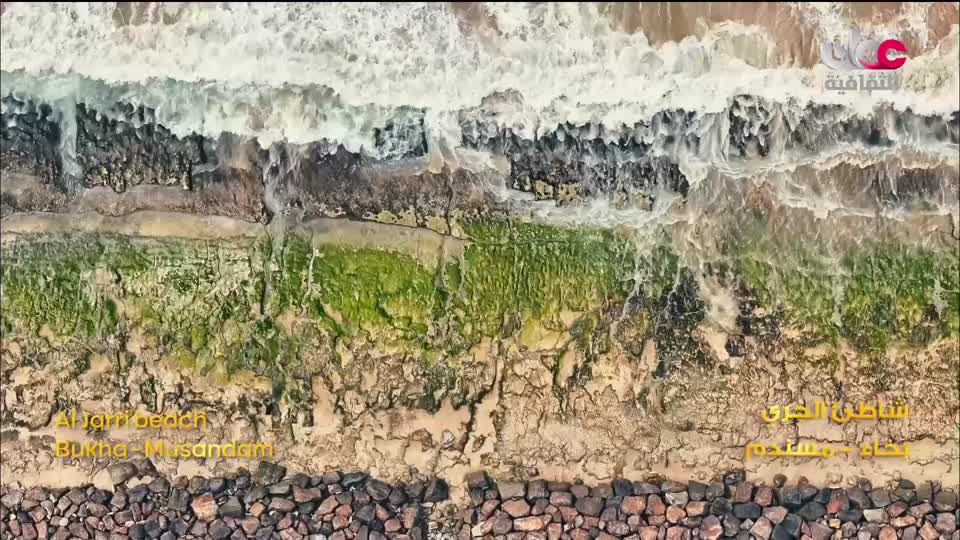 برنامج - شرطة جبل طارق - الحلقة 2