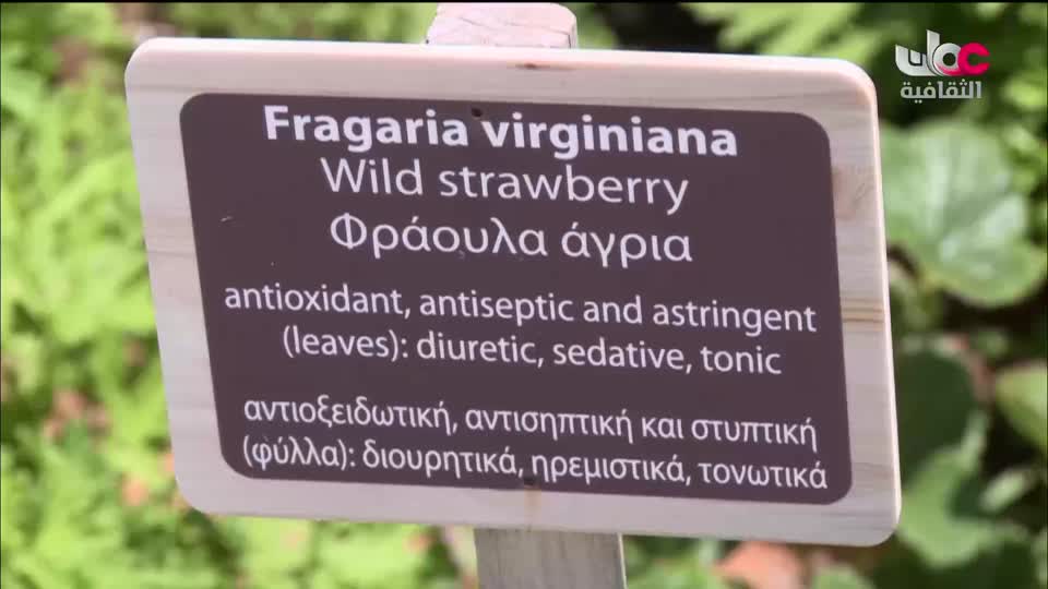 البرنامج الثقافي - إرث حضارة - الحلقة 28