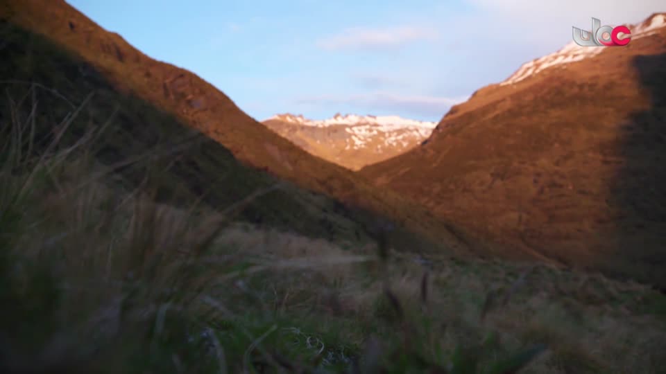 المسلسل الورقي _ يوسف الصديق - الحلقة 22