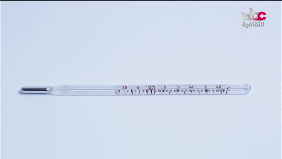 البرنامج الثقافي داخل الأشياء