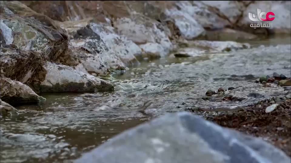 البرنامج الثقافي - غرائب الصحاري - الحلقة 4