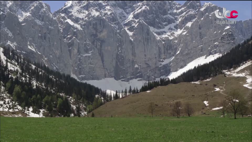 فيلم - يوميات نحلة