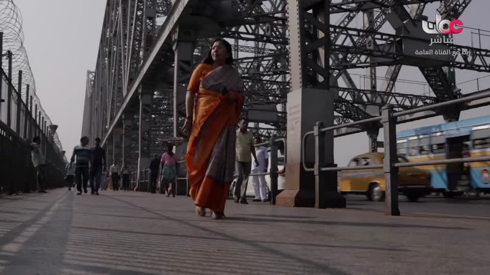 عالم الجسور