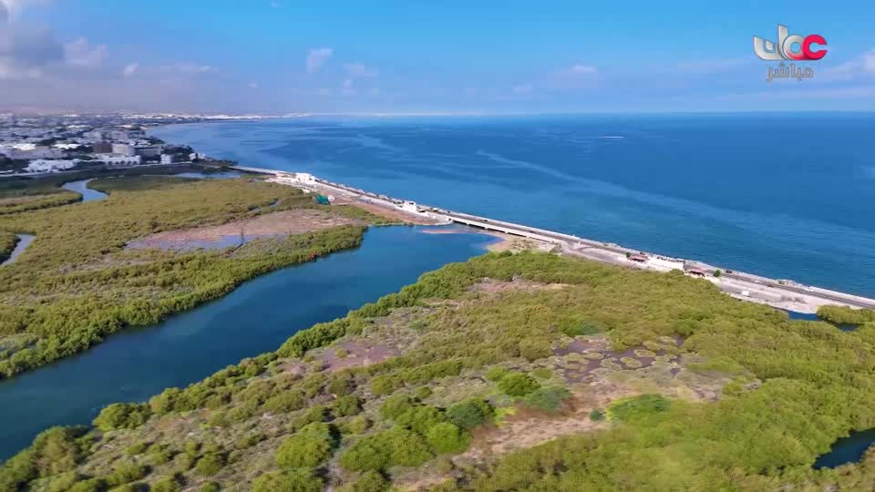 مسلسل الاطفال فريق الحماية - الحلقة 30