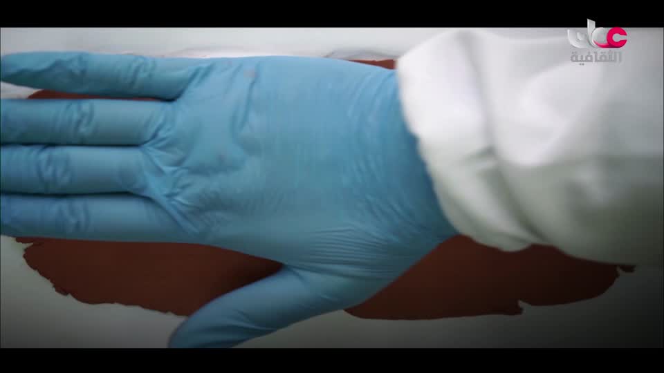 البرنامج الثقافي - زرياب - الحلقة 12