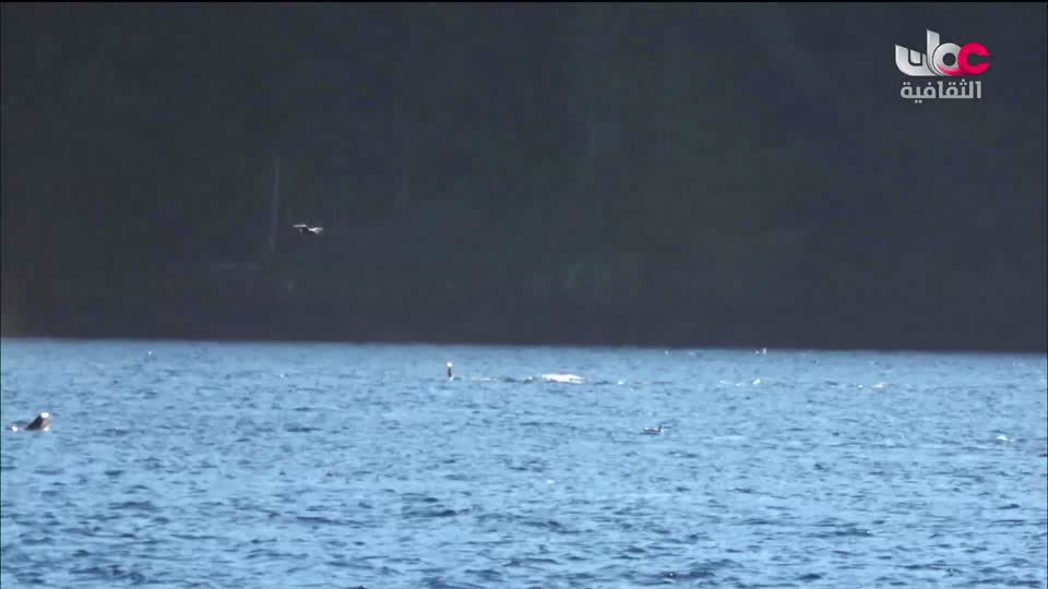 البرنامج الثقافي البحث عن المعرفة - ج8 - الحلقة 7