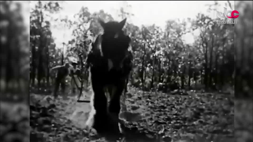 البرنامج الثقافي - أبجديات ثقافية - الحلقة 1