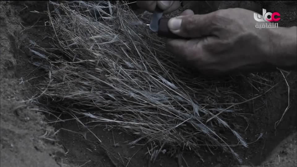 البرنامج الثقافي أرض ونار - تطور فن الطبخ - الحلقة 30