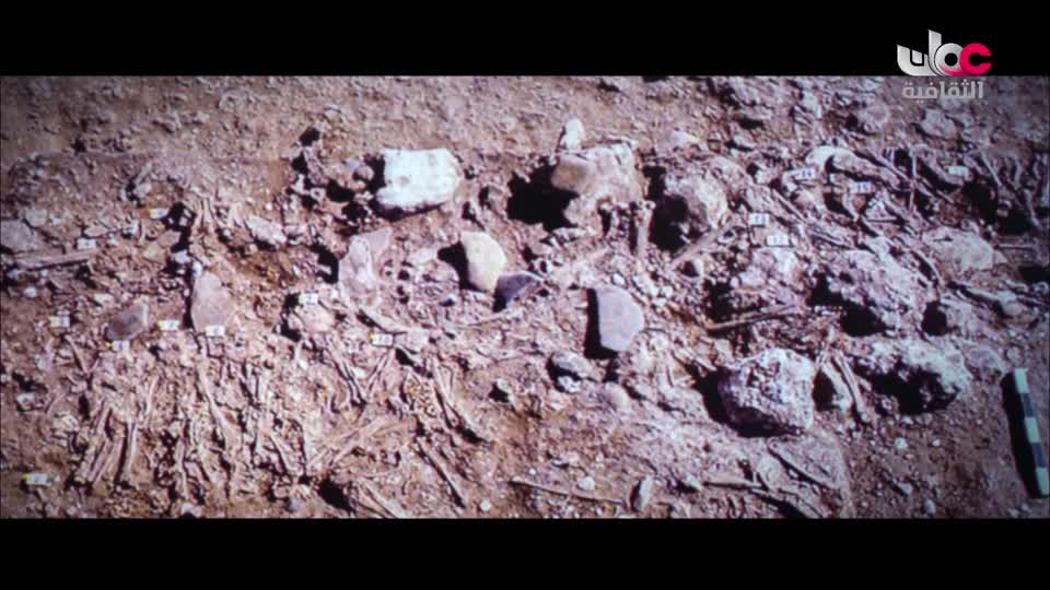 البرنامج الثقافي - العالم لك - الحلقة 8