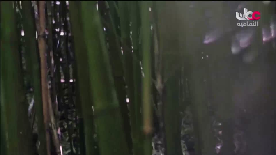 البرنامج الثقافي داخل الأشياء