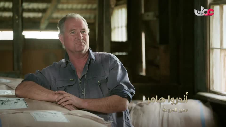 المسلسل الورقي _ يوسف الصديق - الحلقة 23