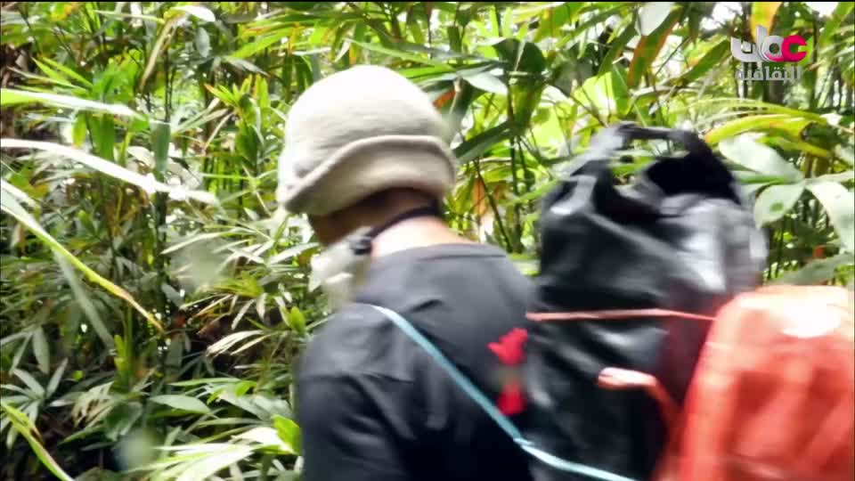 لوحات من العالم - الحلقة 65