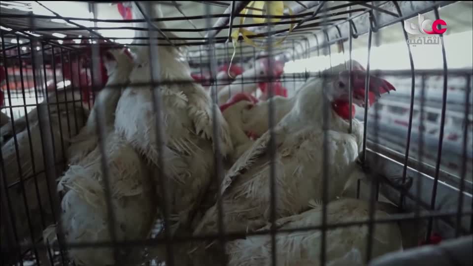 برنامج ثقافي - صنعة - الحلقة 1