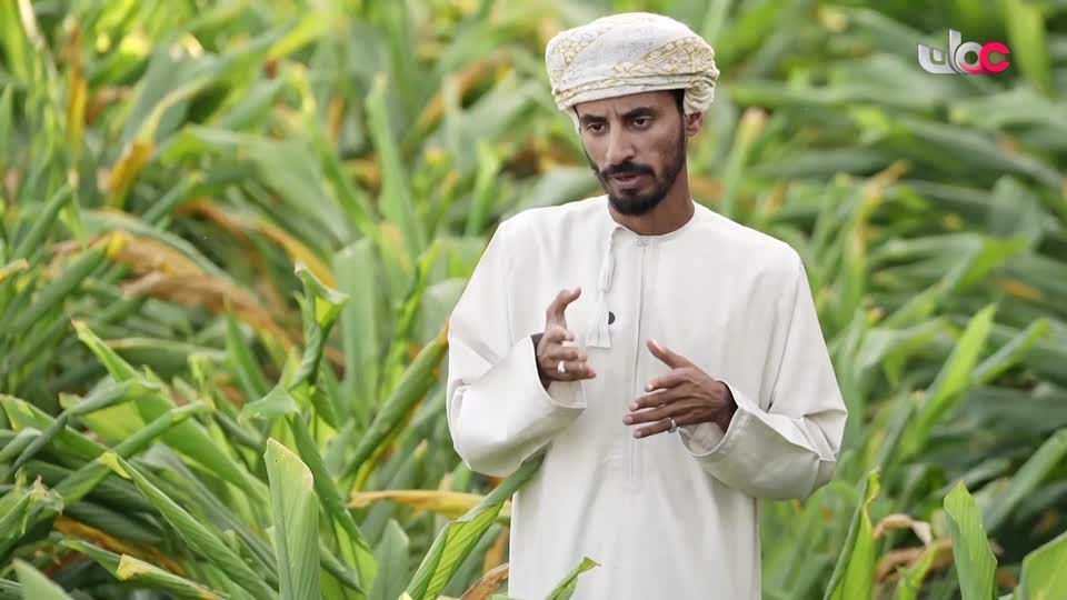 برنامج الصرب - 2025 - الحلقة 5