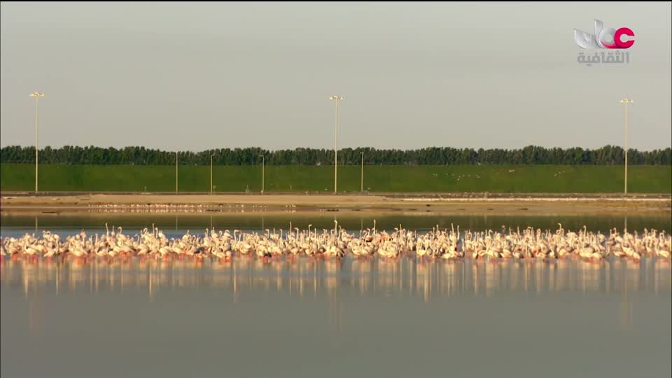 البرنامج الثقافي - أجمل ثمانون جزيرة في العالم