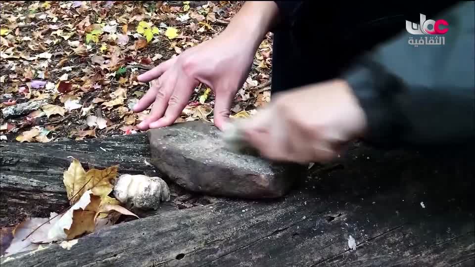 البرنامج الثقافي رحلة اكتشاف وتطور - الحلقة 1