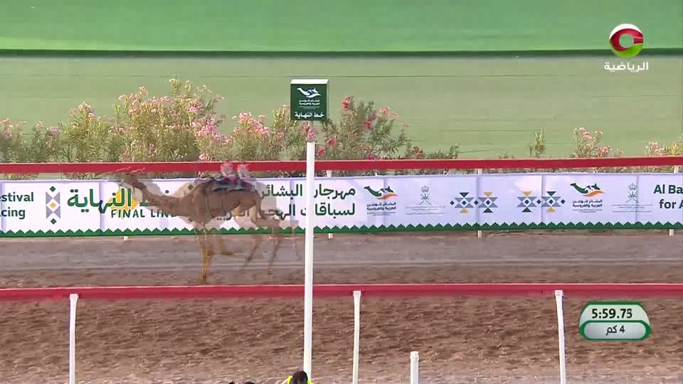 مهرجان البشائر الثامن لسباقات الهجن 2025 - اليوم الأول ج1